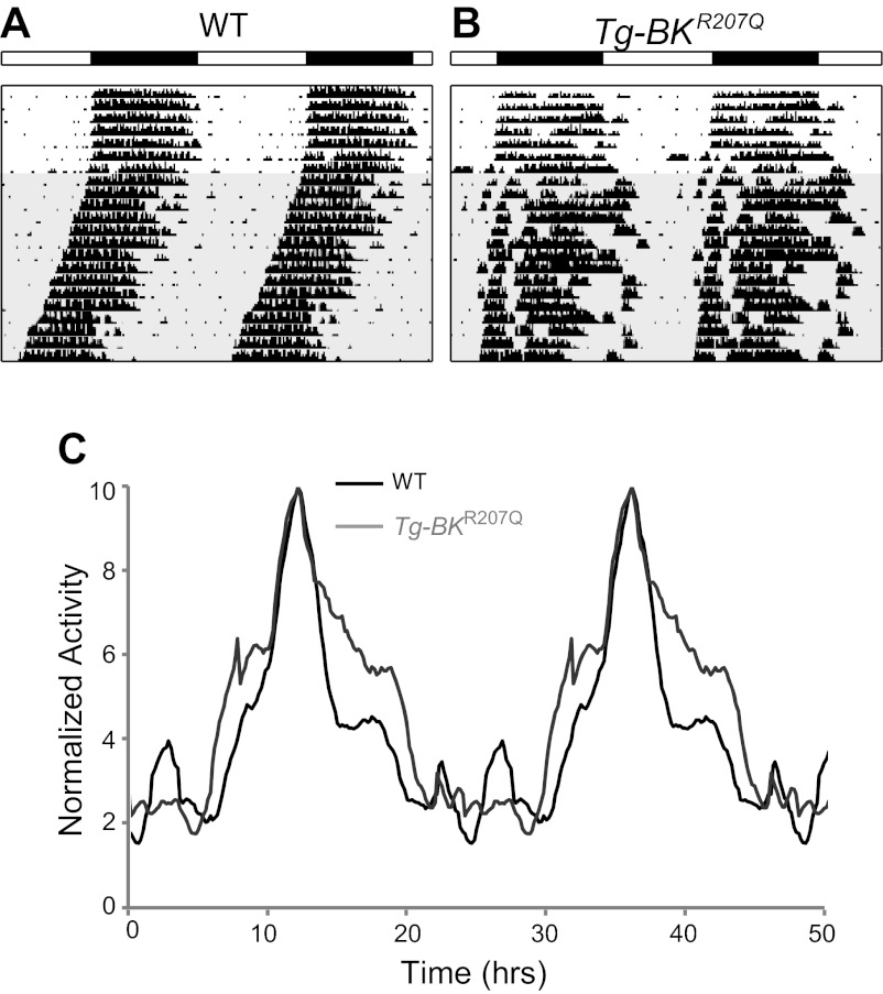 Fig. 7.