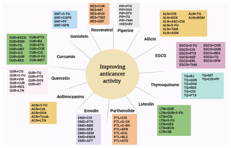 Figure 13