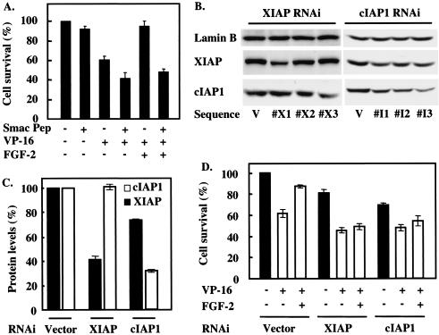 FIG. 8.