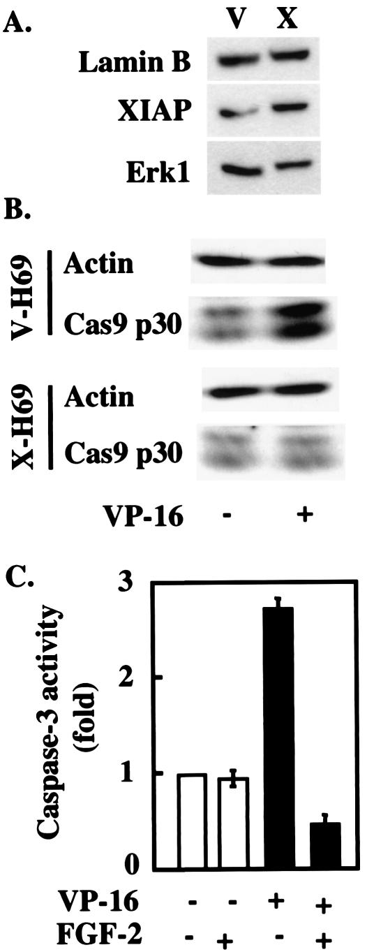 FIG. 5.