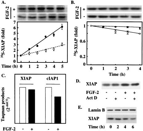 FIG. 7.