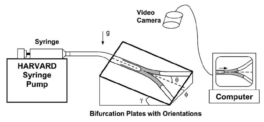 Figure 8