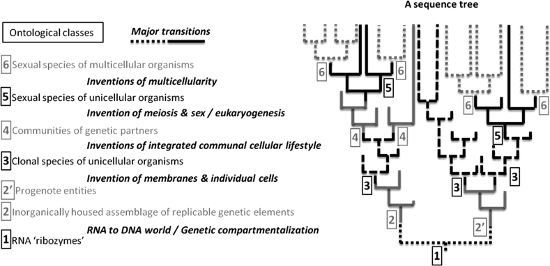 Fig. 1