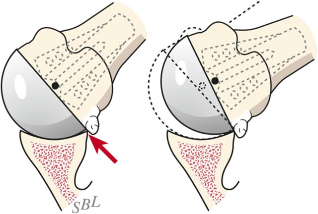 Fig. 7-D