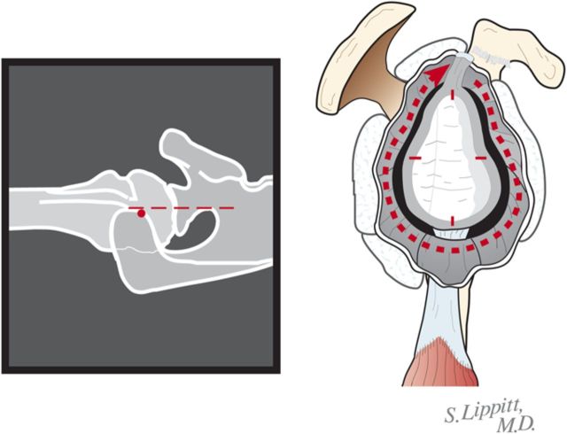 Fig. 6-C