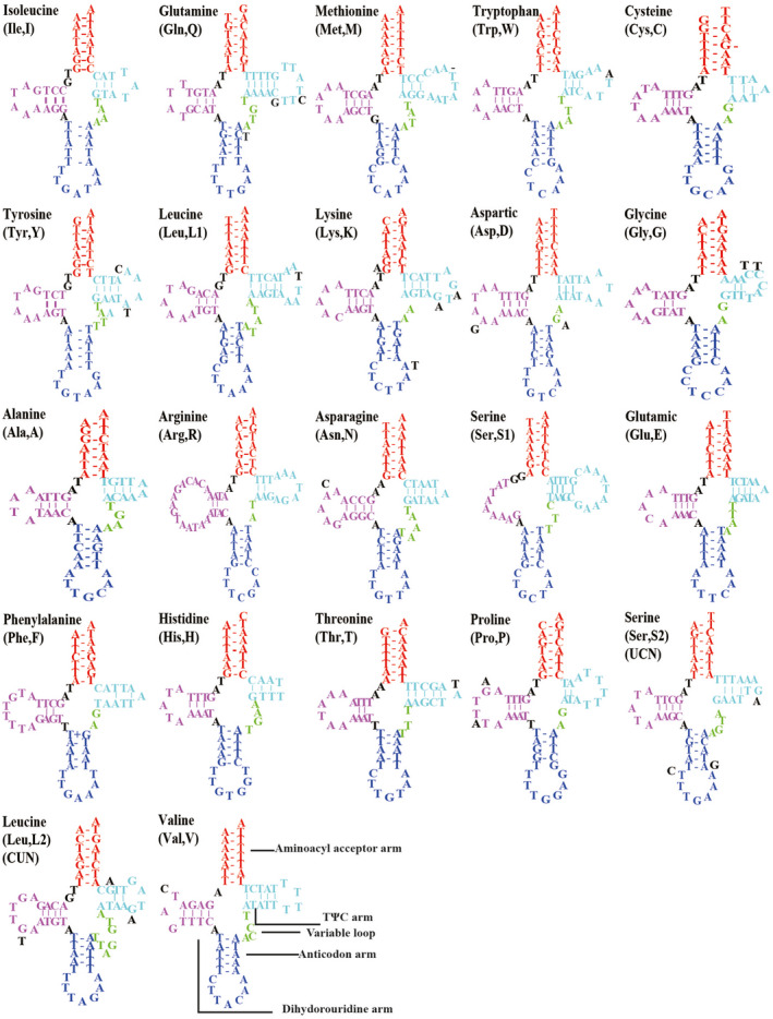 FIGURE 4