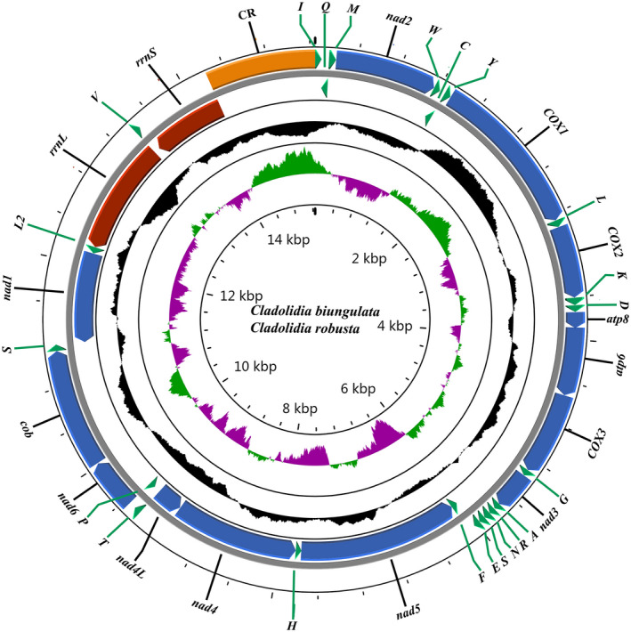 FIGURE 1