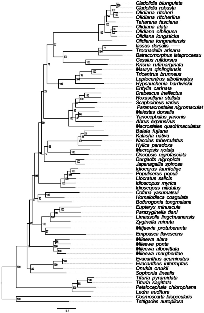 FIGURE 7