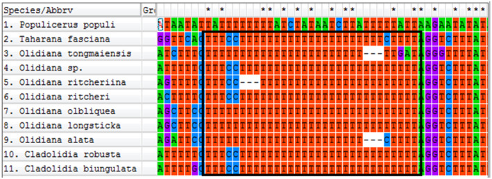 FIGURE 3