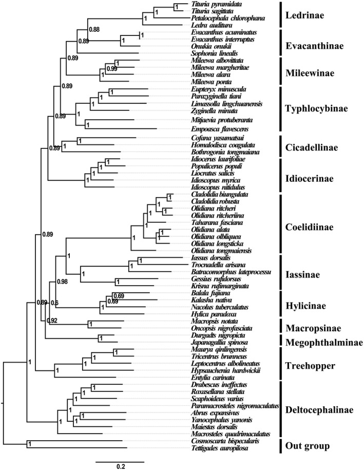 FIGURE 6