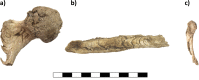 Fig 6