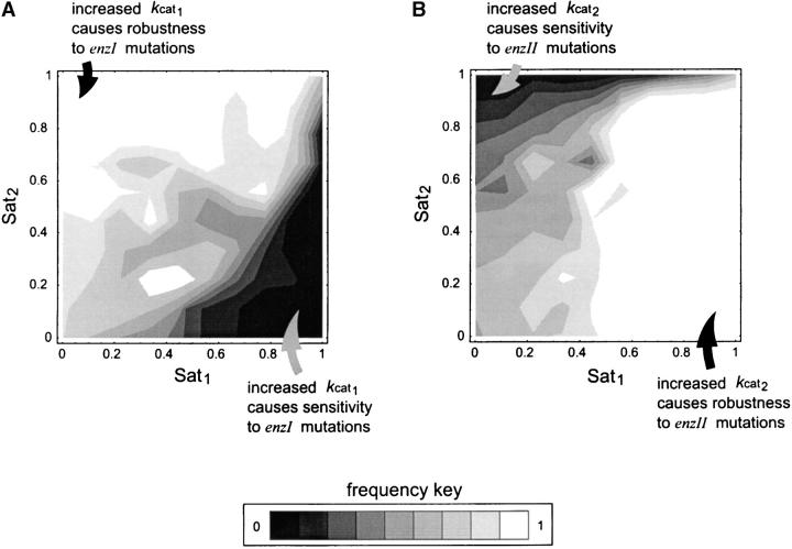 Figure 5.—