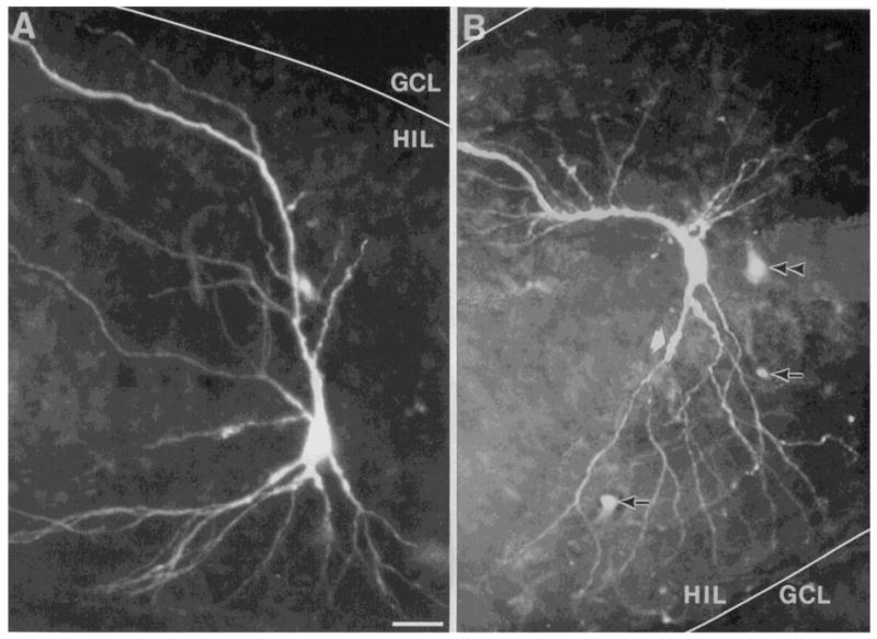 Fig. 8