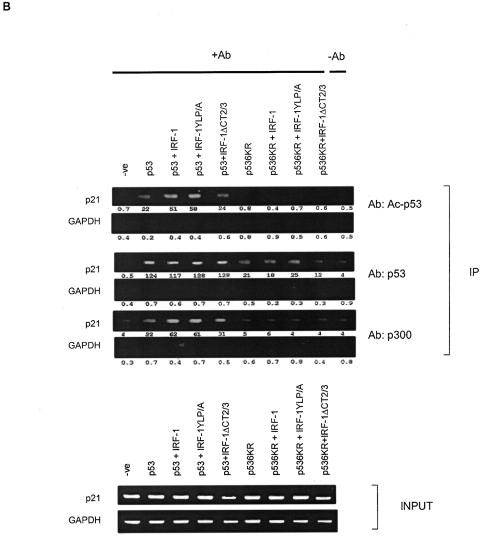 FIG. 6.