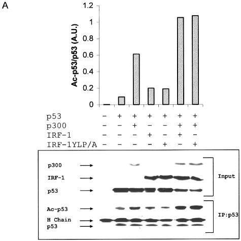 FIG. 6.