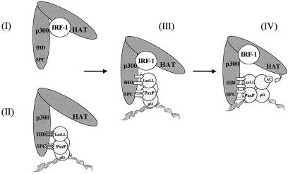 FIG. 7.