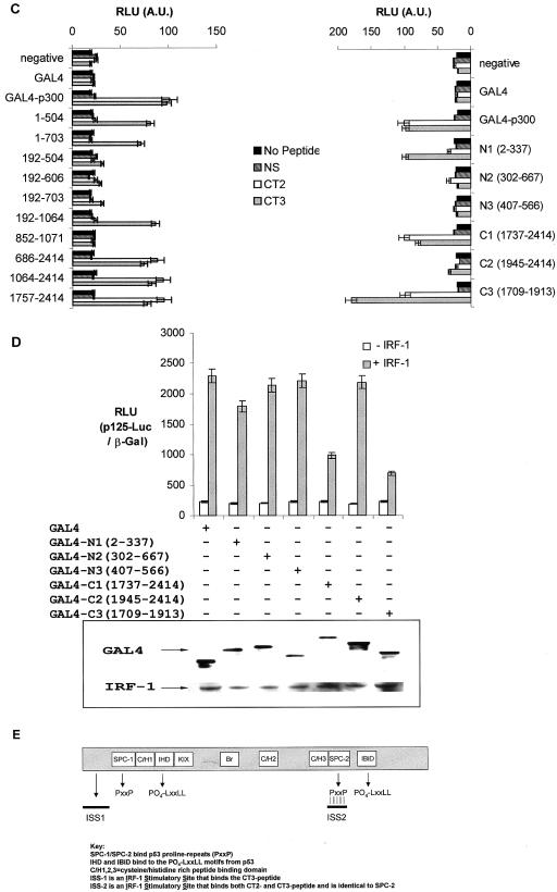 FIG. 2.