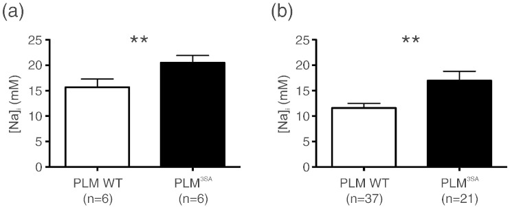 Fig. 6