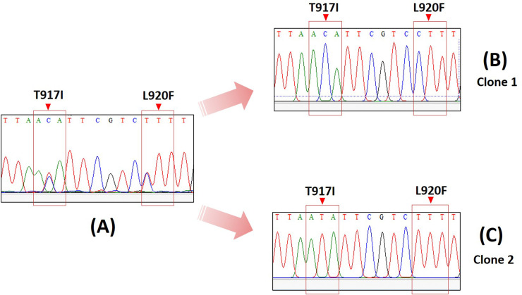 Fig 4