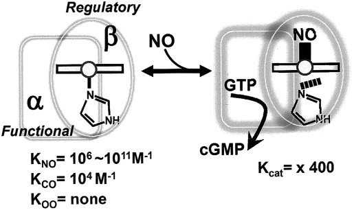 FIG. 9.