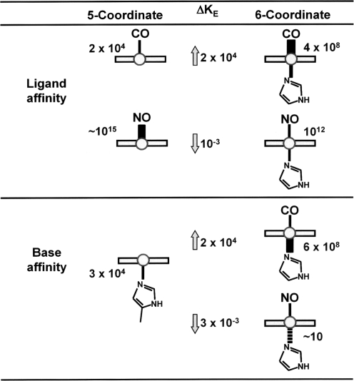 FIG. 7.