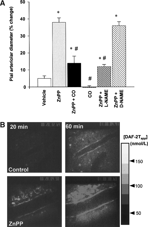 FIG. 11.