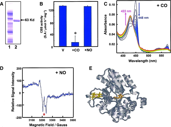 FIG. 10.