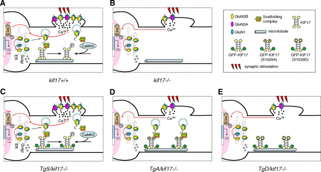 Figure 11.