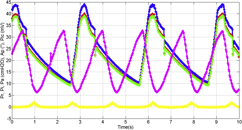 Figure 24