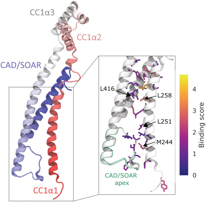 FIGURE 1