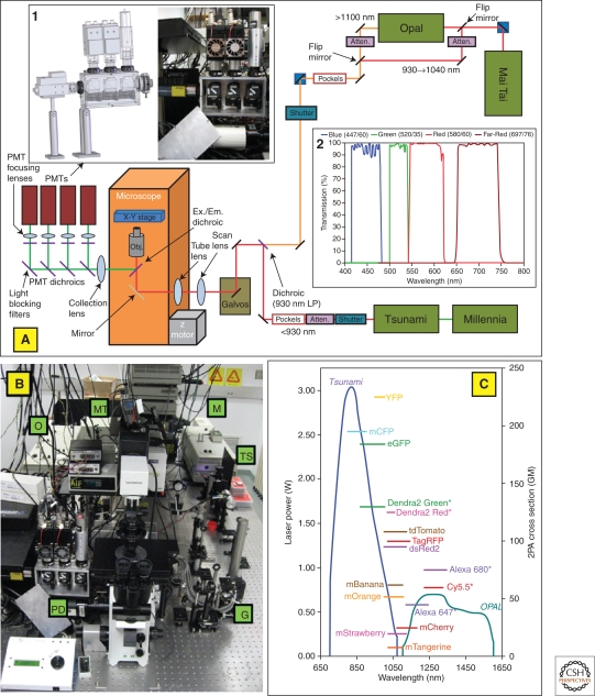 Figure 3.