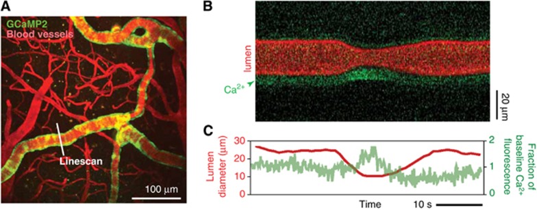 Figure 7