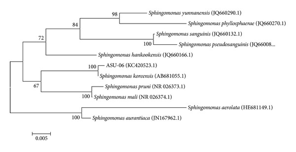 Figure 1