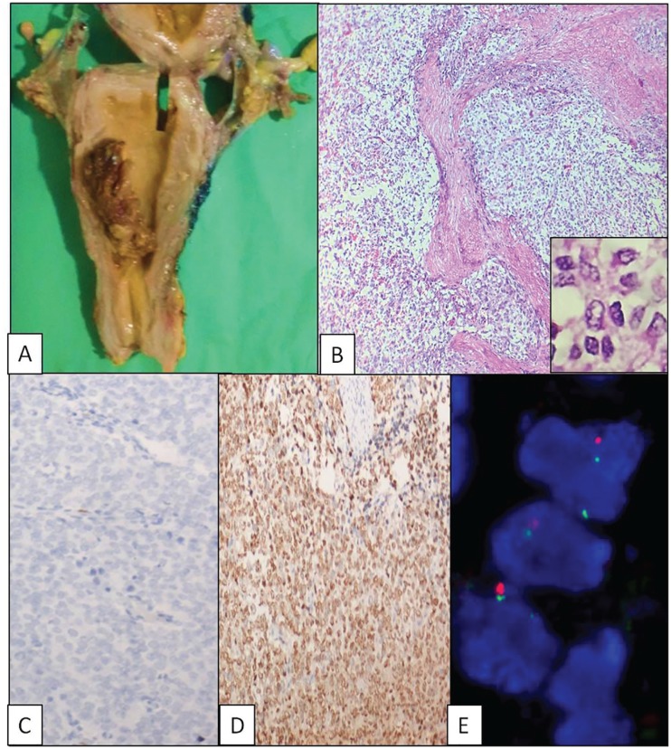 Figure 2.