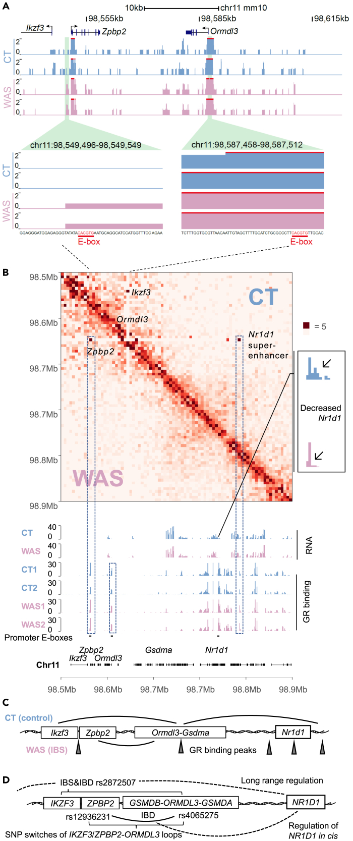 Figure 4