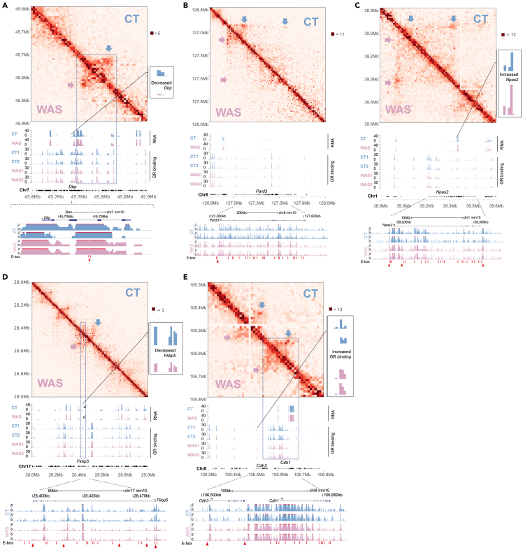 Figure 5