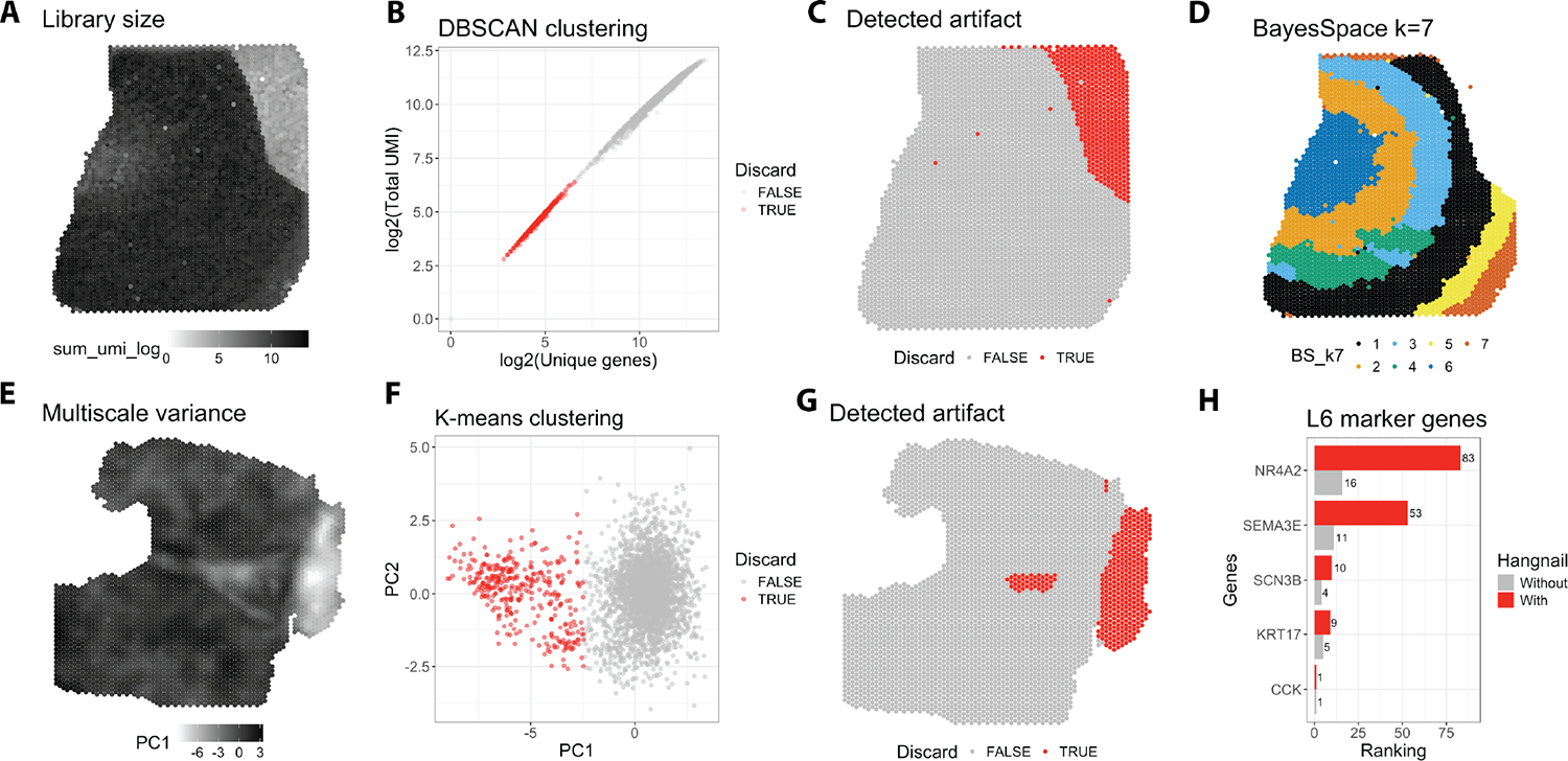 Figure 6: