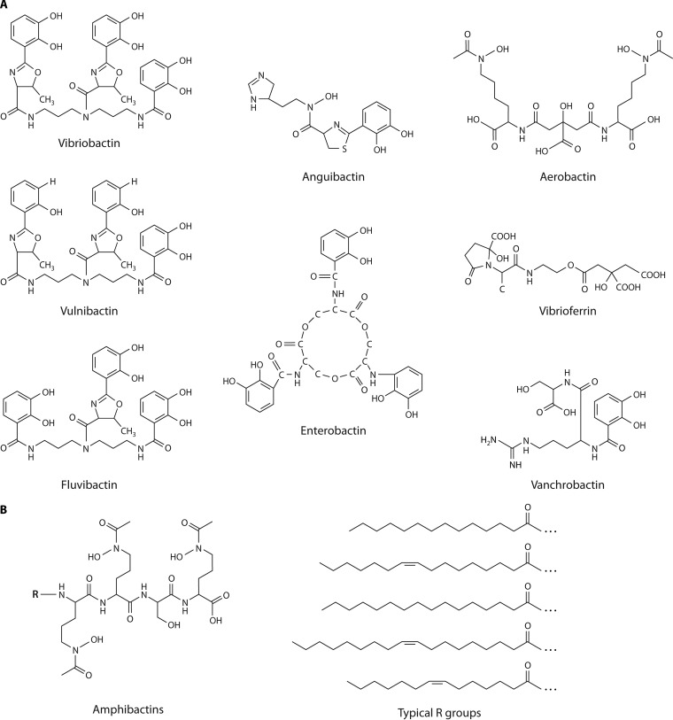 FIG 3