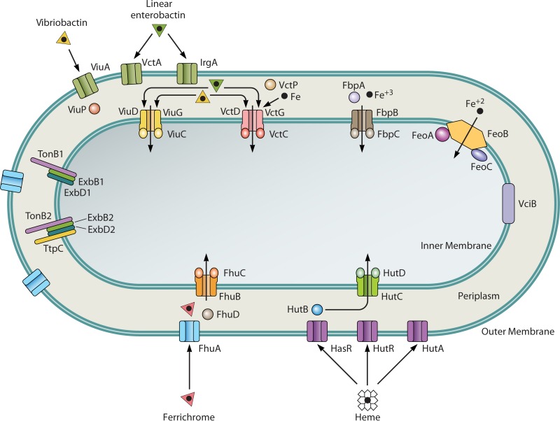 FIG 2