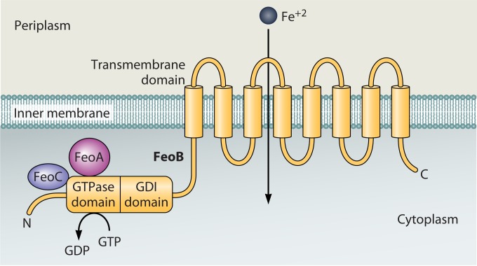 FIG 6