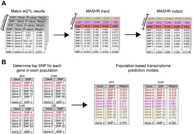 Figure 2: