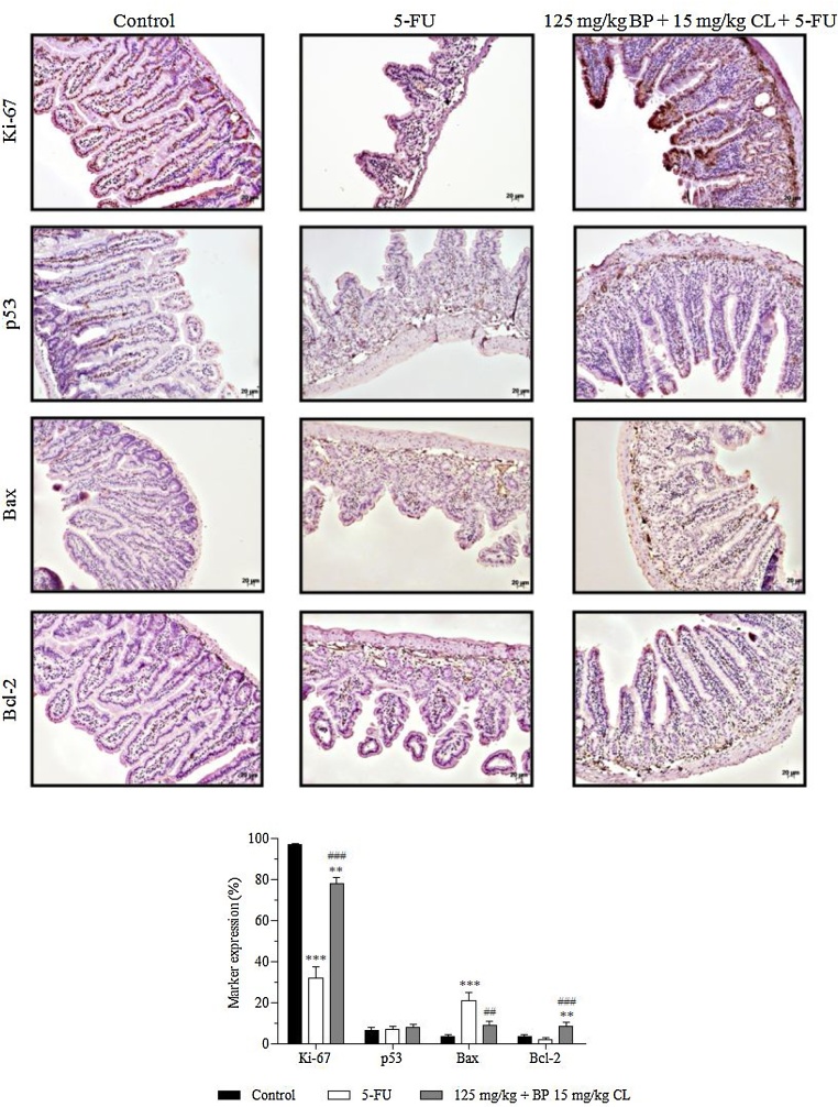 Fig. 5