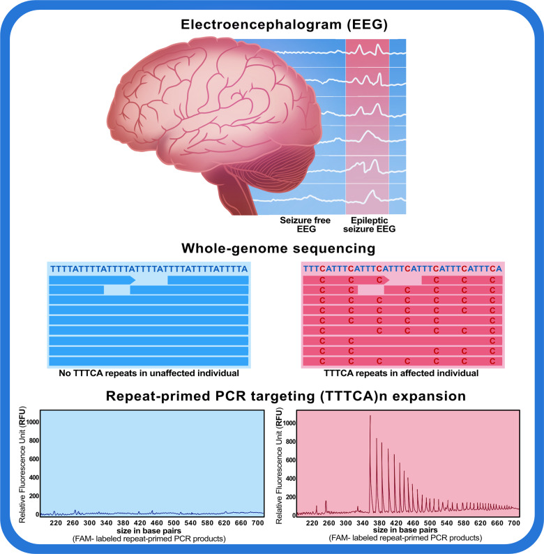 Graphical Abstract