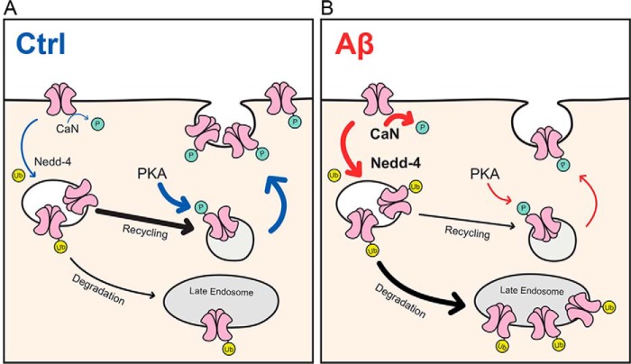 Figure 7.