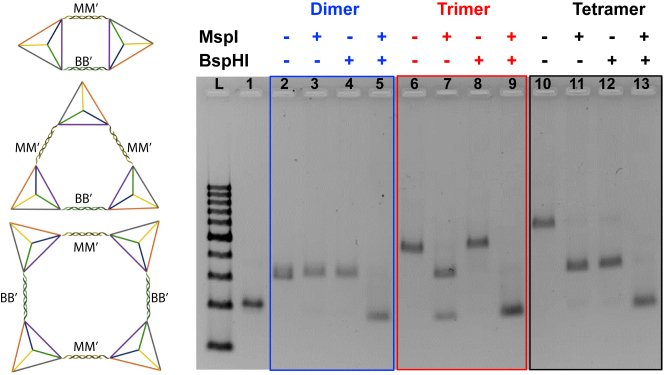 Figure 3.