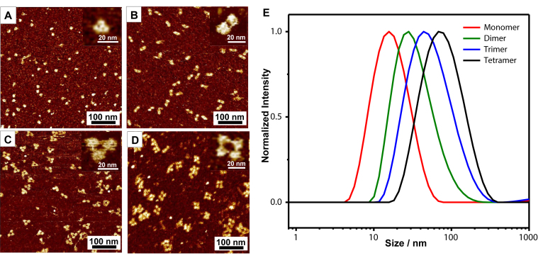 Figure 4.