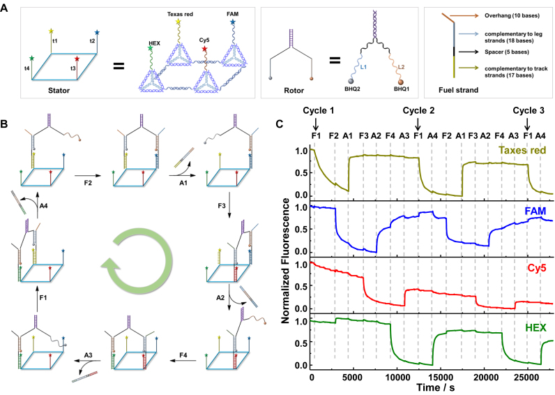 Figure 6.