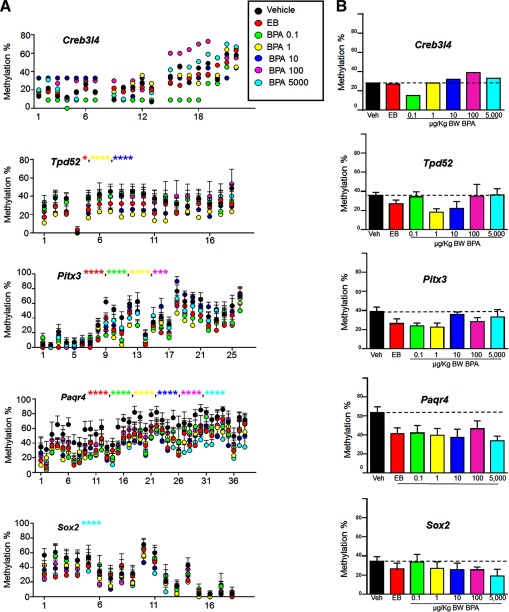 Panel A is a graphical representation plotting methylation in percentage (y-axis) across incidence (x-axis). Panel B is a panel of bar graphs plotting methylation in percentage (y-axis) across the dosage (x-axis) for the treatment groups, namely, vehicle, EB, BPA 0.1, BPA 1, BPA 10, BPA 100, BPA 5,000.