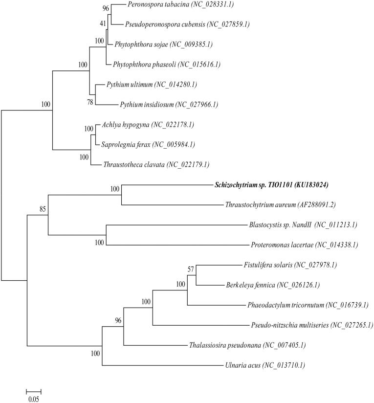 Figure 1.