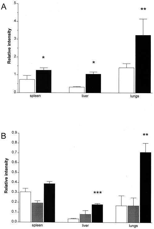 FIG. 8